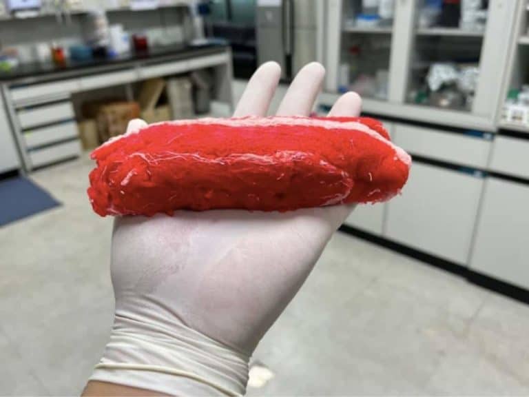 Varias partes interesadas que representan a la industria de la carne cultivada de Corea del Sur, entre ellas fabricantes, universidades y varios gobiernos municipales y provinciales, han firmado un Memorando de Entendimiento para impulsar la agricultura celular.