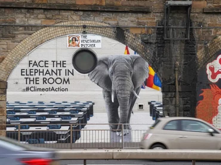 elephant in the room