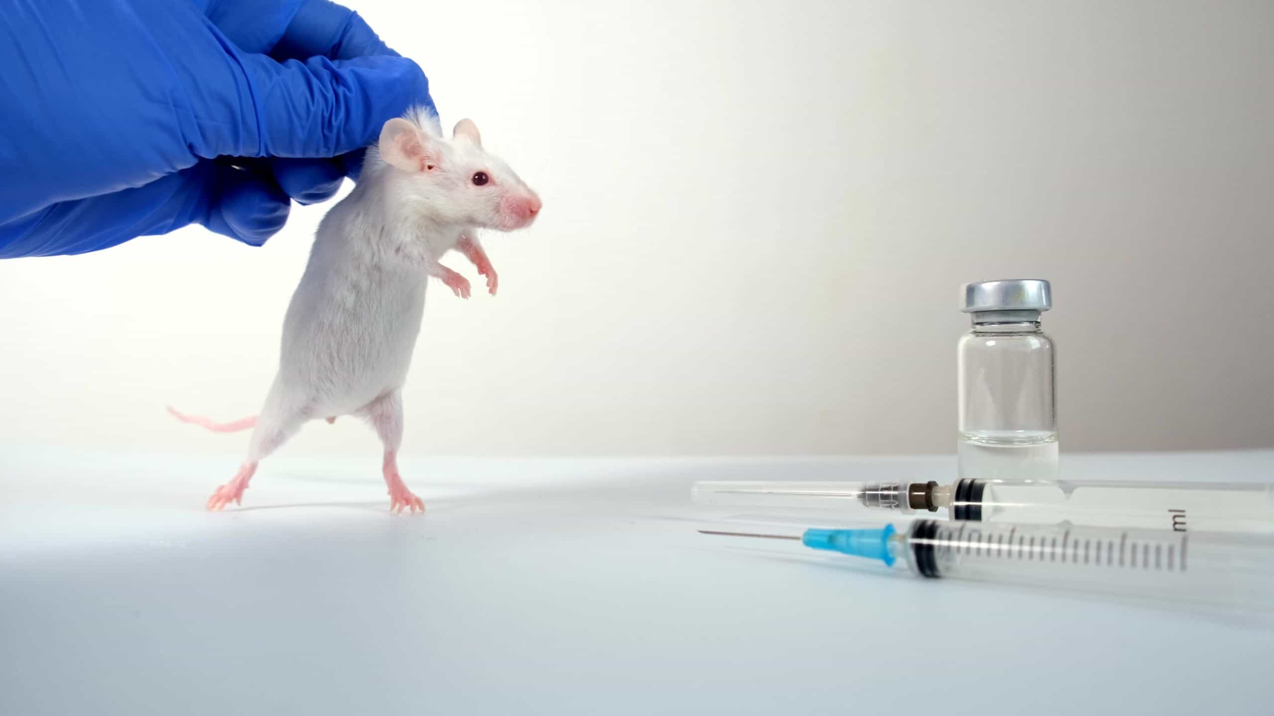 tests souris