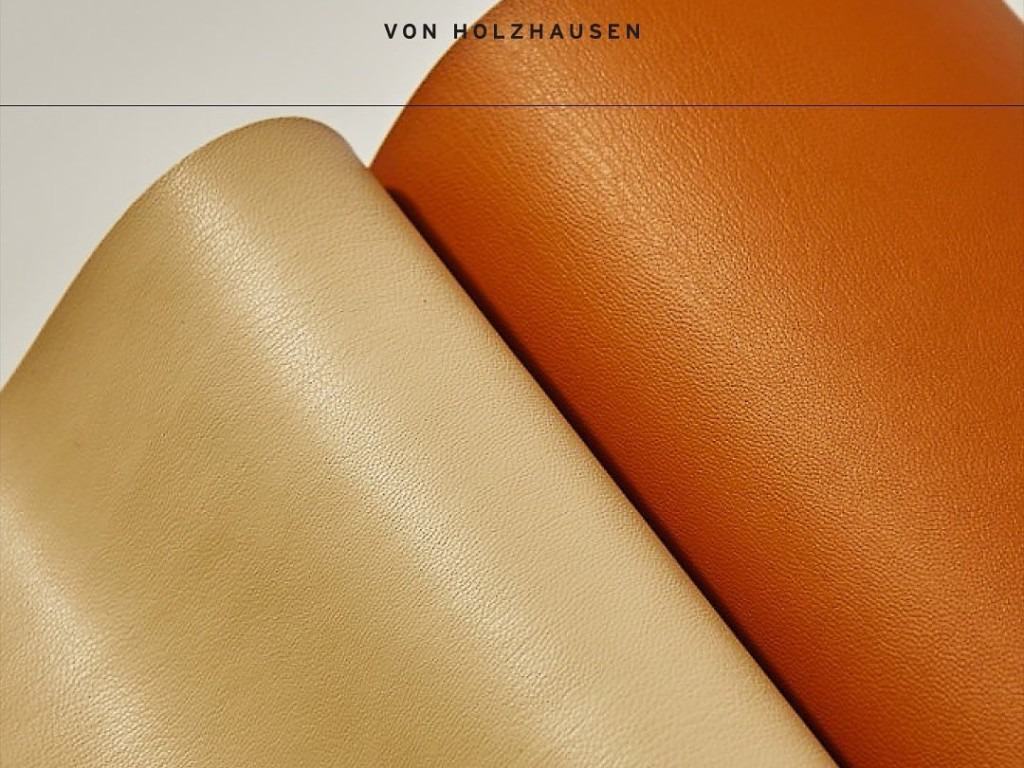 von Holzhausen