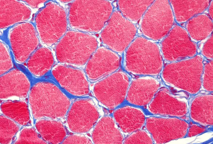 © TurtleTree Scientific